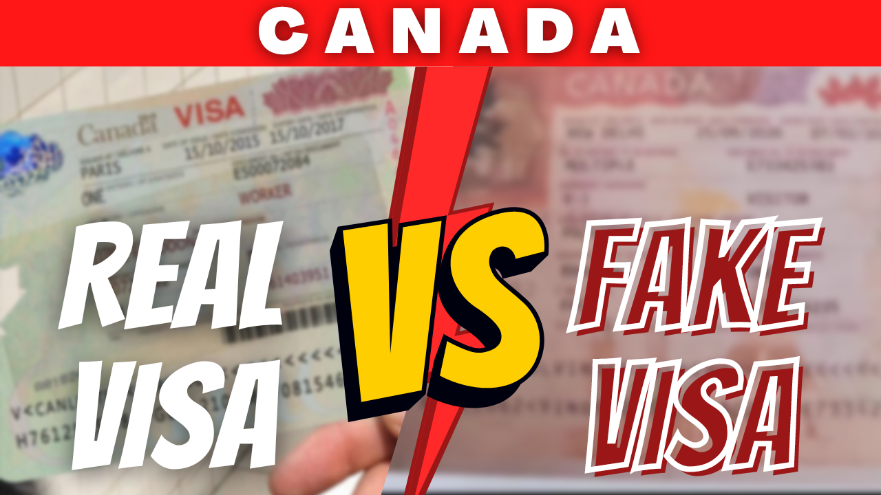 CANADA FAKE STICKER VISA CANADA VISA APPLICATION HOW TO CHECK FAKE CANADA VISA 2022 1