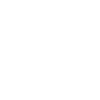 icon 31