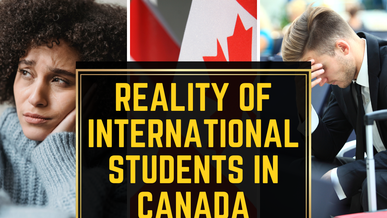 Reality Of International Student Life In Canada
