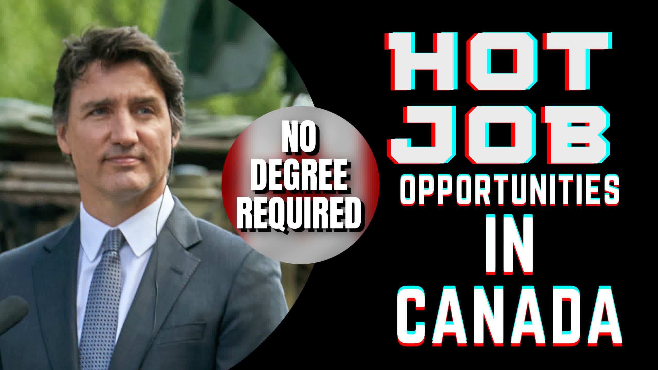 No Degree Required Canadas Hottest Jobs Announced